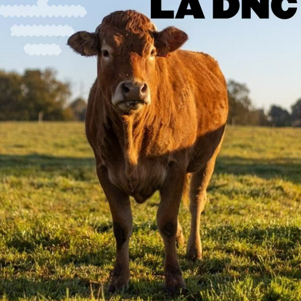 Stop à l'abattage total, appuyons les blocages !