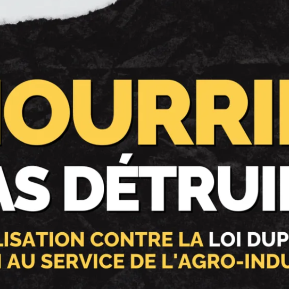 Après la loi Duplomb