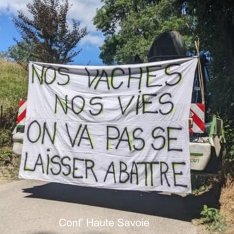 Contre l'abattage systématique des troupeaux