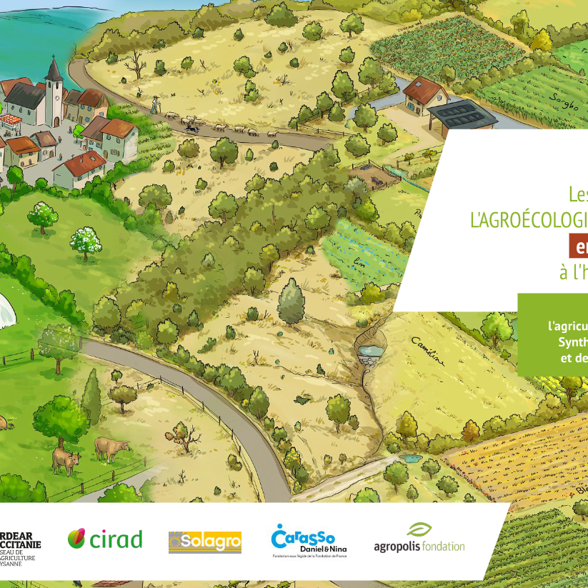 Les futurs de l'agroécologie paysanne en Occitanie à l'horizon 2050