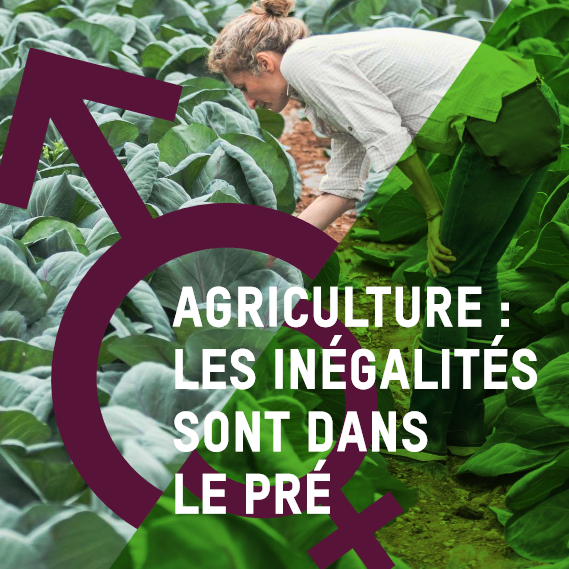 Agriculture : les inégalités sont dans le pré